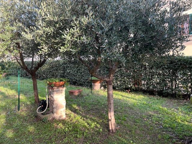 הוילה פירנצה La Casa Di Claudia מראה חיצוני תמונה