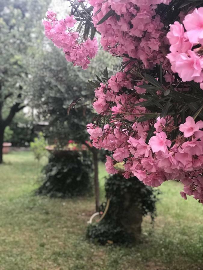 הוילה פירנצה La Casa Di Claudia מראה חיצוני תמונה